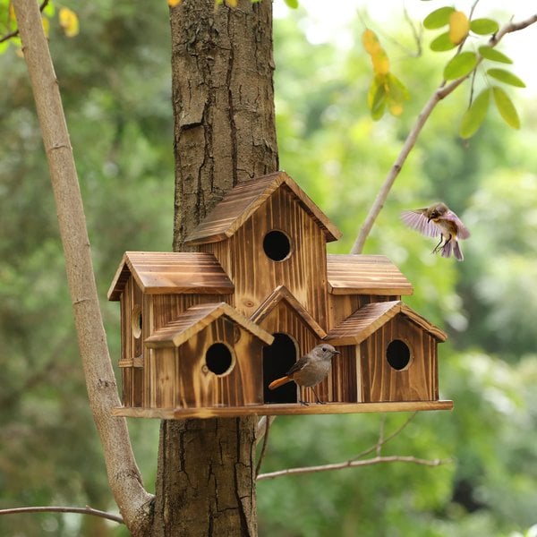 Houten Vogelhuisje Met Authentiek Ontwerp En Meerdere Ingangspunten